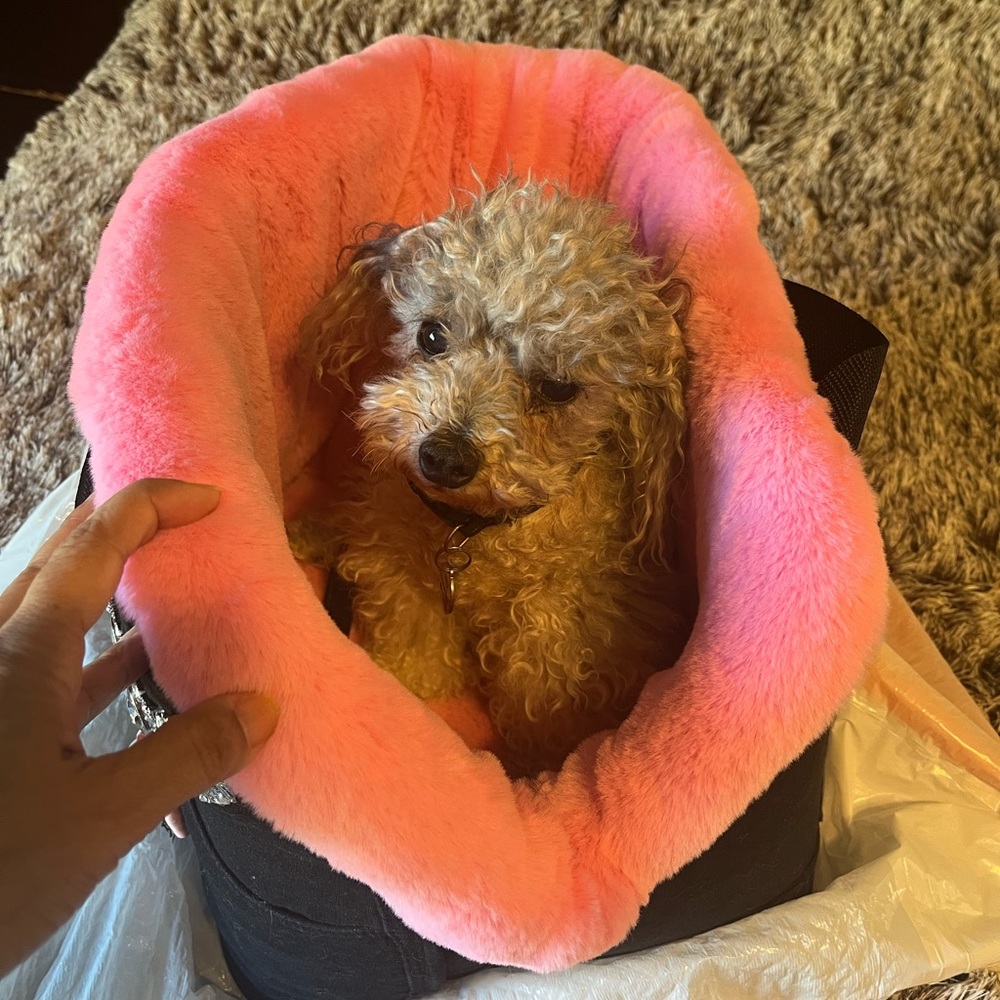 Pet luxury bag carrier.